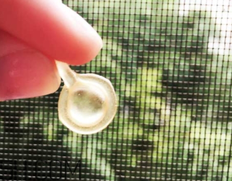 雅頓眼膠和面膠區(qū)別 雅頓眼膠和面膠可以一起用嗎？