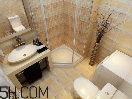 不能在廁所干什么？不能在衛(wèi)生間干什么？