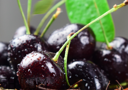 如何挑選車厘子？新鮮車厘子的挑選方法？