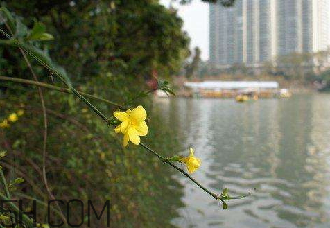 2018年五九什么時候 2018年五九是哪天 2018年五九什么時候 2018年五九是哪天