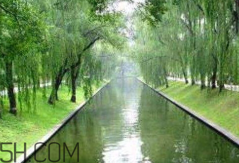 2018年五九什么時候 2018年五九是哪天 2018年五九什么時候 2018年五九是哪天