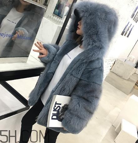 獺兔毛皮草一千元貴嗎？獺兔毛皮草2018年價格