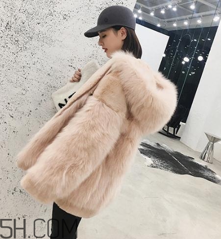 獺兔毛和兔毛哪個好？獺兔毛和兔毛的區(qū)別