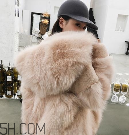 獺兔毛和兔毛哪個好？獺兔毛和兔毛的區(qū)別