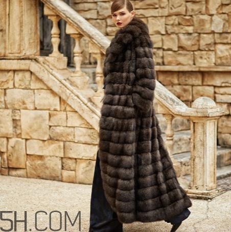 紫貂皮草一般多少錢？紫貂皮草價格