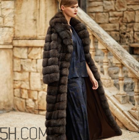 紫貂皮草一般多少錢？紫貂皮草價格