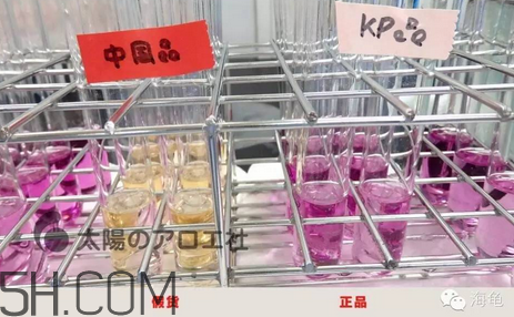 太陽社玻尿酸孕婦能用嗎？怎樣辯別真假太陽社玻尿酸？