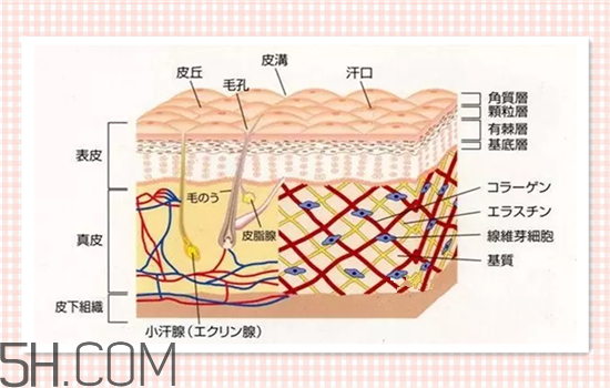 水光針可以祛斑嗎？涂抹式水光針的效果好嗎？