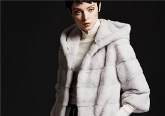 水貂皮草怎么鑒別？如何辨別水貂皮草真假？