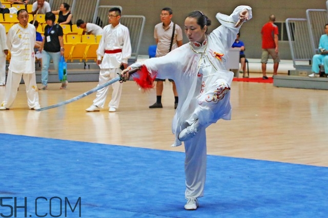 武術(shù)和跆拳道哪個(gè)對(duì)孩子好？武術(shù)和跆拳道的區(qū)別在哪里？