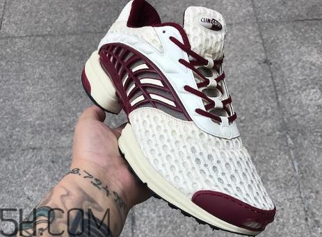 adidas climacool2018版本實物什么樣？