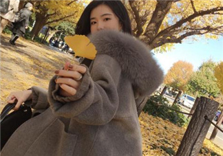 羊駝絨和羊絨哪個好？羊駝絨和羊絨的區(qū)別