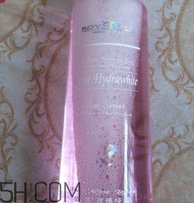 royvol萊茵是什么牌子？royvol萊茵是哪個國家的