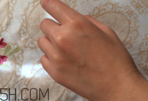 royvol萊茵是什么牌子？royvol萊茵是哪個國家的