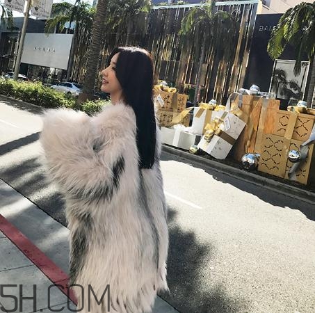 狐貍毛皮草干洗多少錢？狐貍毛皮草干洗價(jià)格