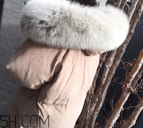 狐貍毛領怎么清洗？狐貍毛領可以用水洗嗎？