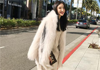 狐貍毛皮草一般多少錢？狐貍毛皮草價格