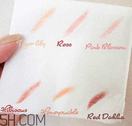 口紅是用什么做的？可以吃的口紅品牌推薦