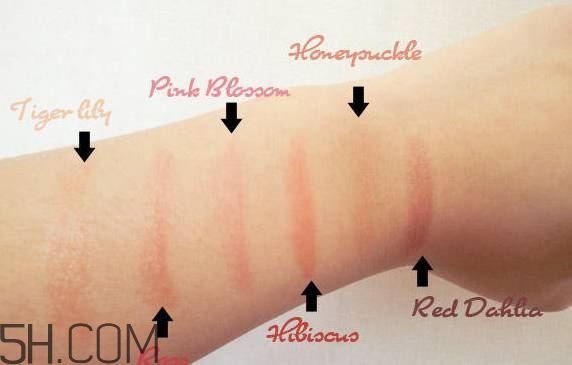 口紅是用什么做的？可以吃的口紅品牌推薦