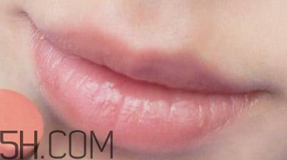 口紅是用什么做的？可以吃的口紅品牌推薦