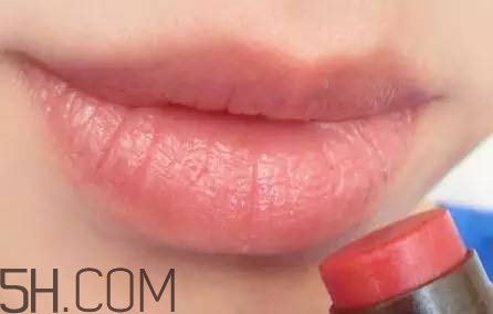 口紅是用什么做的？可以吃的口紅品牌推薦