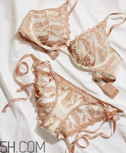 2018內(nèi)衣品牌排行榜 2018文胸品牌十強(qiáng)