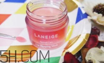 蘭芝夜間唇膜什么成分？孕婦能用嗎？