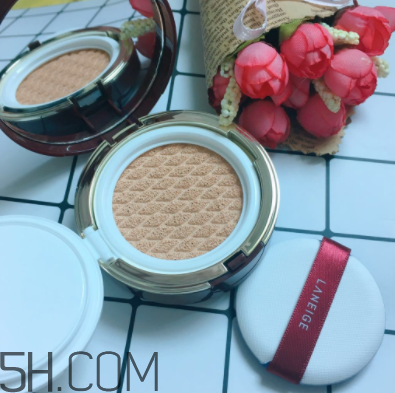 蘭芝氣墊霜控油嗎？蘭芝氣墊霜適合油皮嗎？