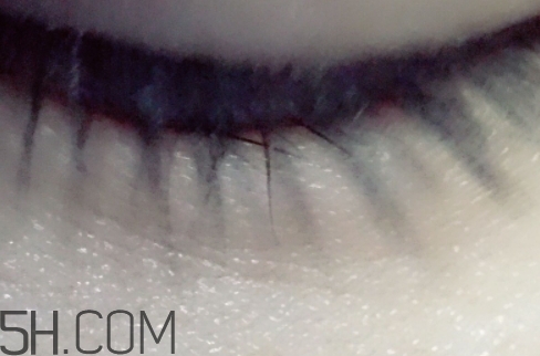 雅頓和嬌韻詩(shī)哪個(gè)好用？伊麗莎白雅頓和嬌韻詩(shī)哪個(gè)檔次高