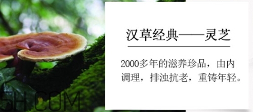 羽西小鮮瓶安瓶怎么用？羽西小鮮瓶安瓶怎么樣