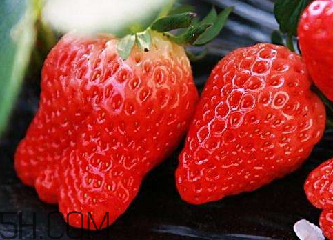 草莓冬天會(huì)凍死嗎 草莓會(huì)凍壞嗎 草莓冬天會(huì)凍死嗎 草莓會(huì)凍壞嗎
