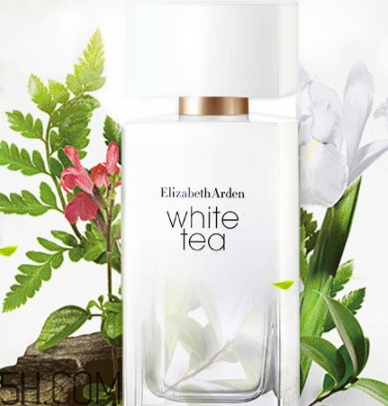 雅頓白茶香水好聞嗎？伊麗莎白雅頓白茶香水香調(diào)