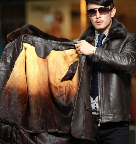 黃金貂是什么？黃金貂和水貂哪個好？