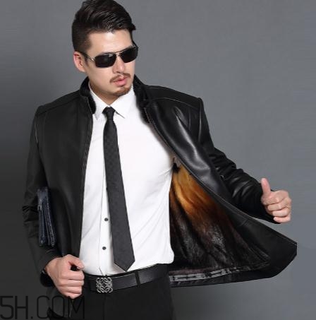 黃金貂是什么？黃金貂和水貂哪個好？