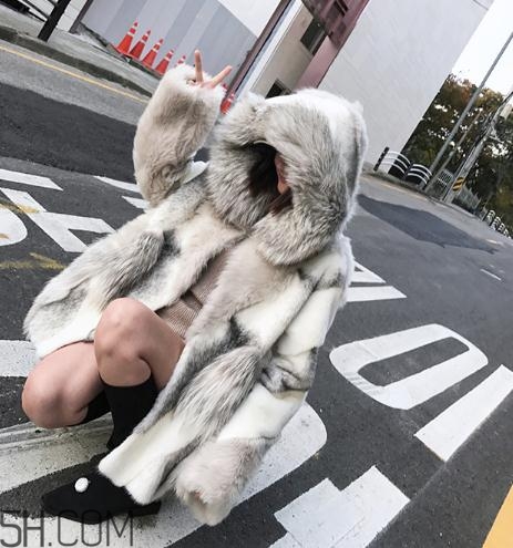 十字貂和水貂哪個(gè)好？十字貂和水貂哪個(gè)貴？