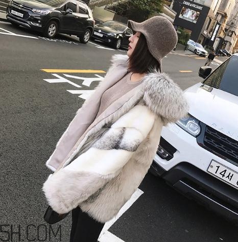 十字貂和水貂哪個(gè)好？十字貂和水貂哪個(gè)貴？