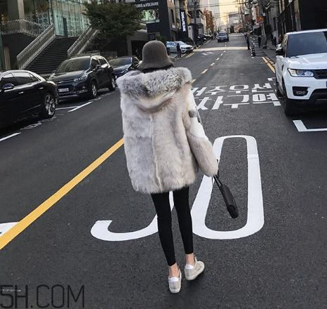 十字貂和水貂哪個(gè)好？十字貂和水貂哪個(gè)貴？