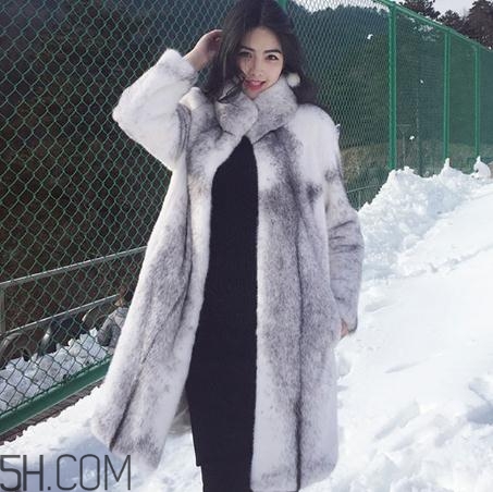 十字貂什么顏色最貴？十字貂價(jià)格