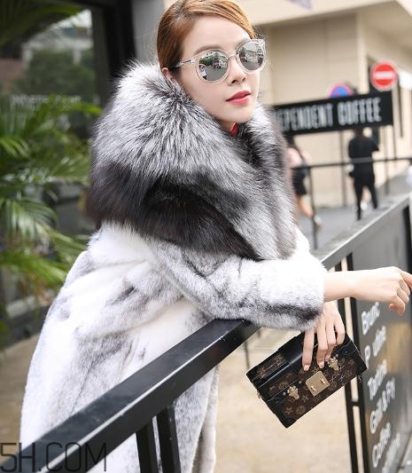 丹麥貂好還是美國貂好？丹麥貂和美國貂的區(qū)別