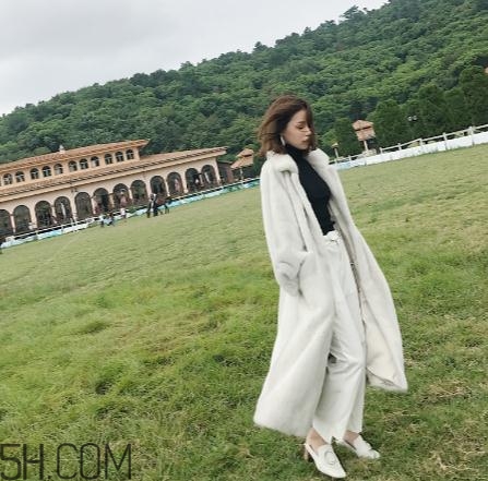 整貂皮大衣一般多少錢？整貂皮大衣價格