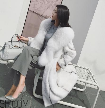 整貂好還是拼貂好？整貂和拼貂的差別