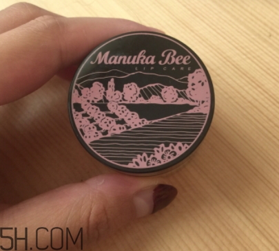 2018年唇部磨砂膏哪個牌子好？2018唇部磨砂膏推薦