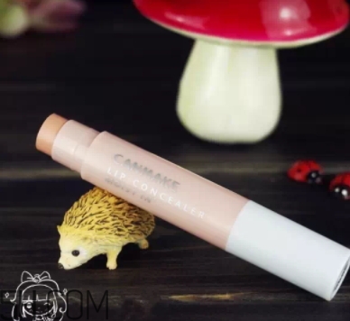 2018年唇部遮瑕膏哪個(gè)牌子好？2018唇部遮瑕膏排行榜前十強(qiáng)