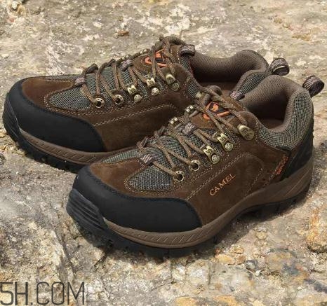 駱駝是什么牌子？駱駝是什么檔次？