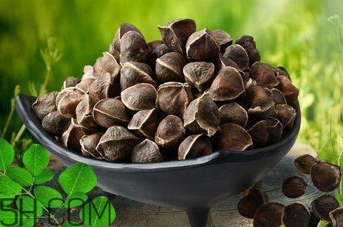 辣木籽哪里有賣(mài) 辣木籽哪里能買(mǎi)到