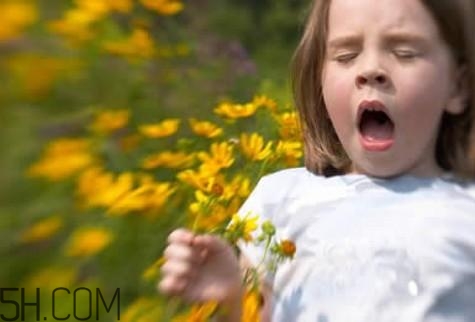 春季吃什么能防過敏？春季預(yù)防過敏的食物有哪些？