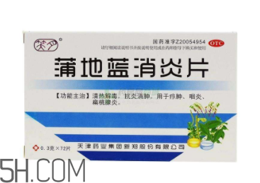 蒲地藍(lán)消炎片能和阿莫西林一起吃嗎_能和羅紅霉素一起吃嗎？