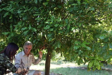 果本是國產(chǎn)牌子嗎？果本和詩婷露雅什么關(guān)系？