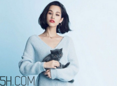 雪花秀和蘭芝哪個好用？雪花秀在韓國屬于什么檔次？