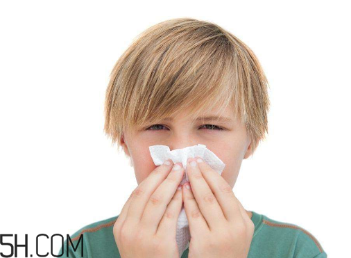 哪些藥品含有馬來酸氯苯那敏原料藥制劑？